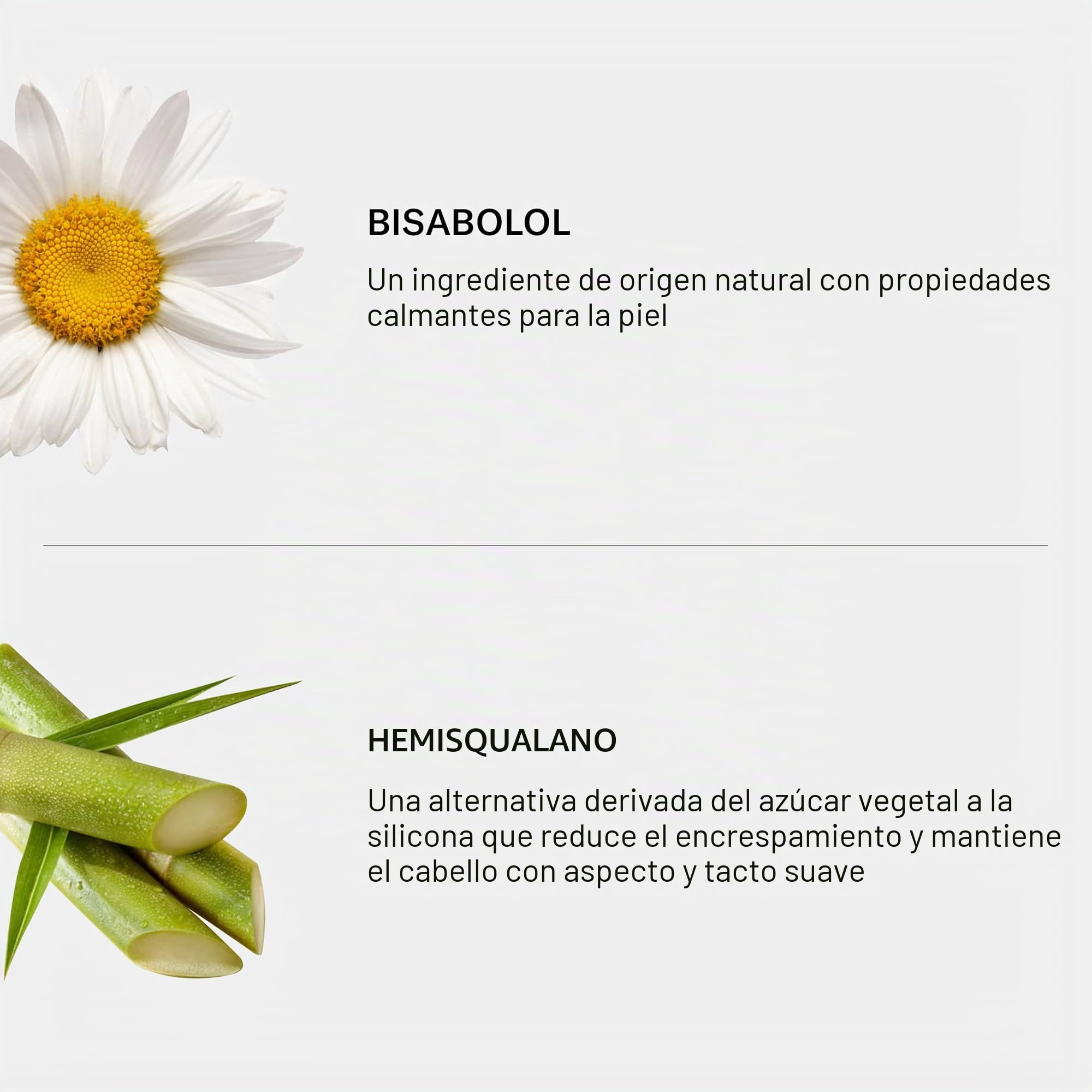 SEEN Champú, Fragrance Free – Dermatologist-Developed – No Comedogenic