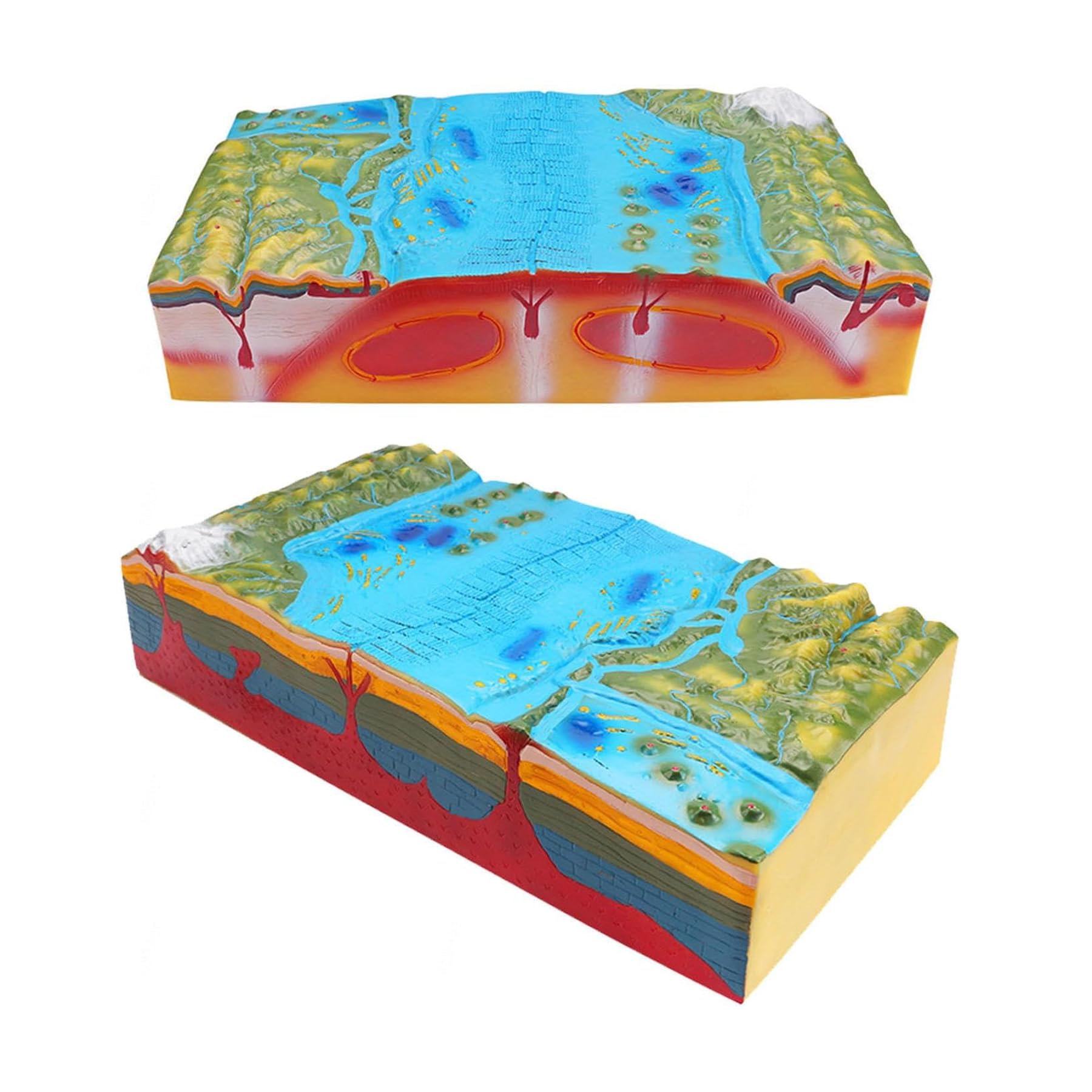 King Mariot Medical Equipments - Plate Tectonics & Geomorphological Model – Geology 3D Plate