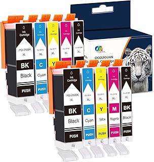 LIC-Store Compatible Ink Cartridge Replacement for Canon CLI-251XL PGI-250XL PGI 250 CLI 251 (1PGBK & 1BK/C/M/Y 10 Combo Pack) for Pixma MX722 MX922 iP7220 iX6820 MG5420 MG5422 MG5520 MG5522 MG5620