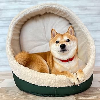 Amazon | mamemochi ツボる2wayベッド ペット用ベッド 犬 柴犬