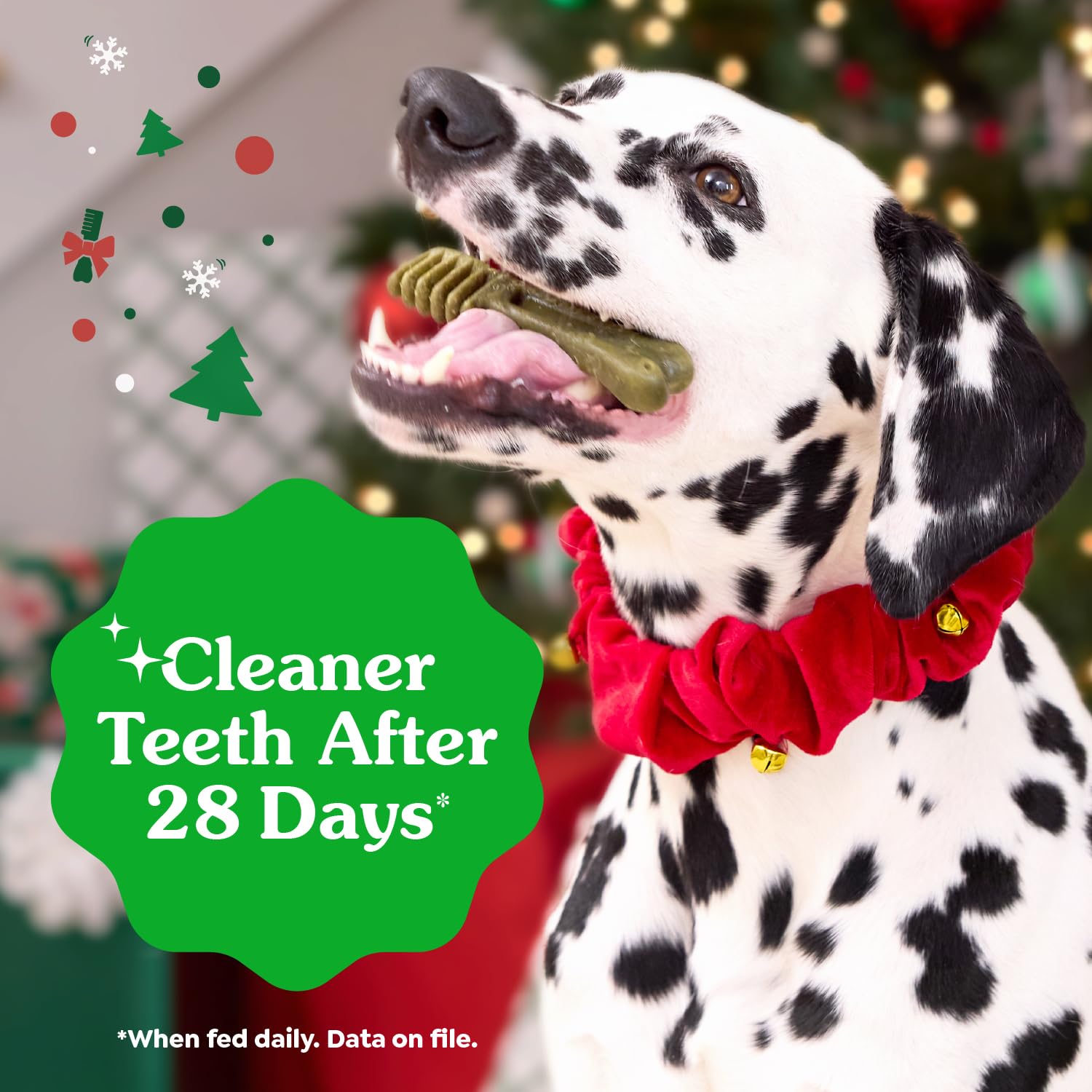 Greenies Veterinarian-Recommended, Limited-Edition Natural Dental Dog Treats Petite Size, Gingerbread Flavor, 12 oz. Pack, 20 Count