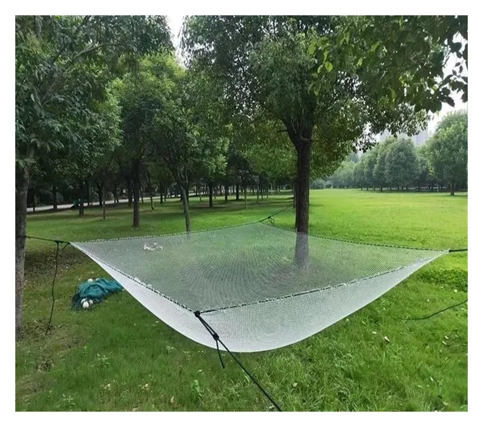 Rete anti-uccelli in nylon con fori esagonali da 3 mm, per pesca e protezione del giardino, colore rosso, ideale per frutta e verdura (nero, 1,5 m x 3 m)