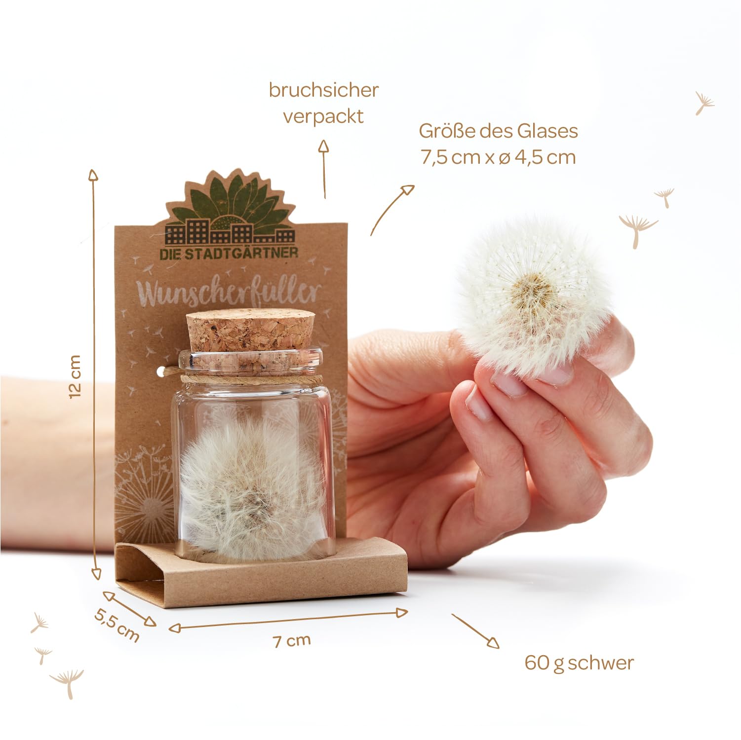 Die Stadtgärtner – Wunscherfüller I Echte Pusteblume im Glas I Ewig haltbar I Perfekte Geschenkidee für jeden Anlass I Geschenke für Frauen & Freundin