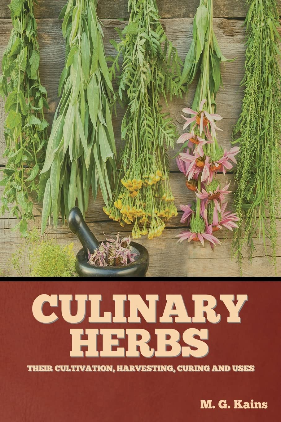 Culinary Herbs: Their Cultivation, Harvesting, Curing and Uses