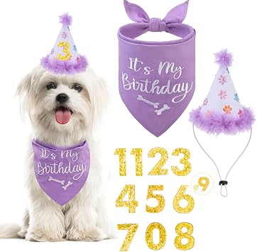 BINGPET Dog Birthday Bandana and Hat Set,Dog Birthday Party Supplies,Purple