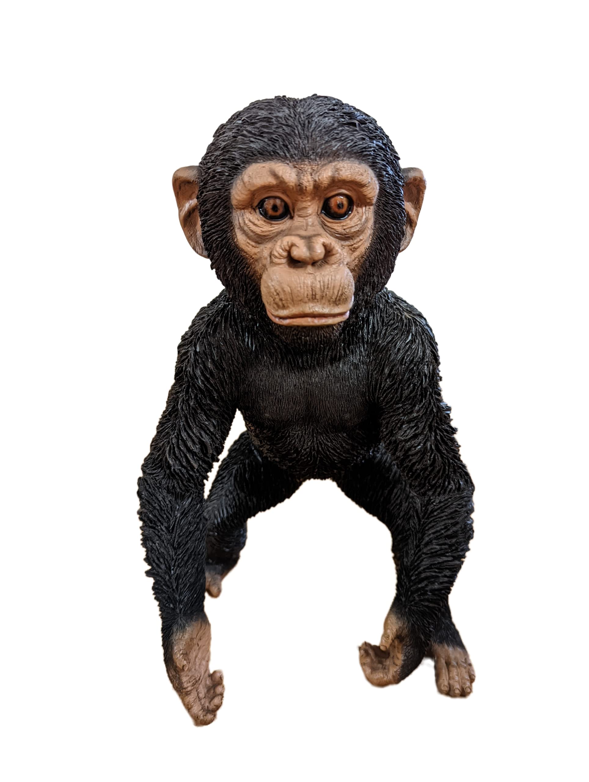 Vivid Arts Realistic Standing Baby Chimpanzee | Resin Home or Garden Decoration | XRL-CHM4-B