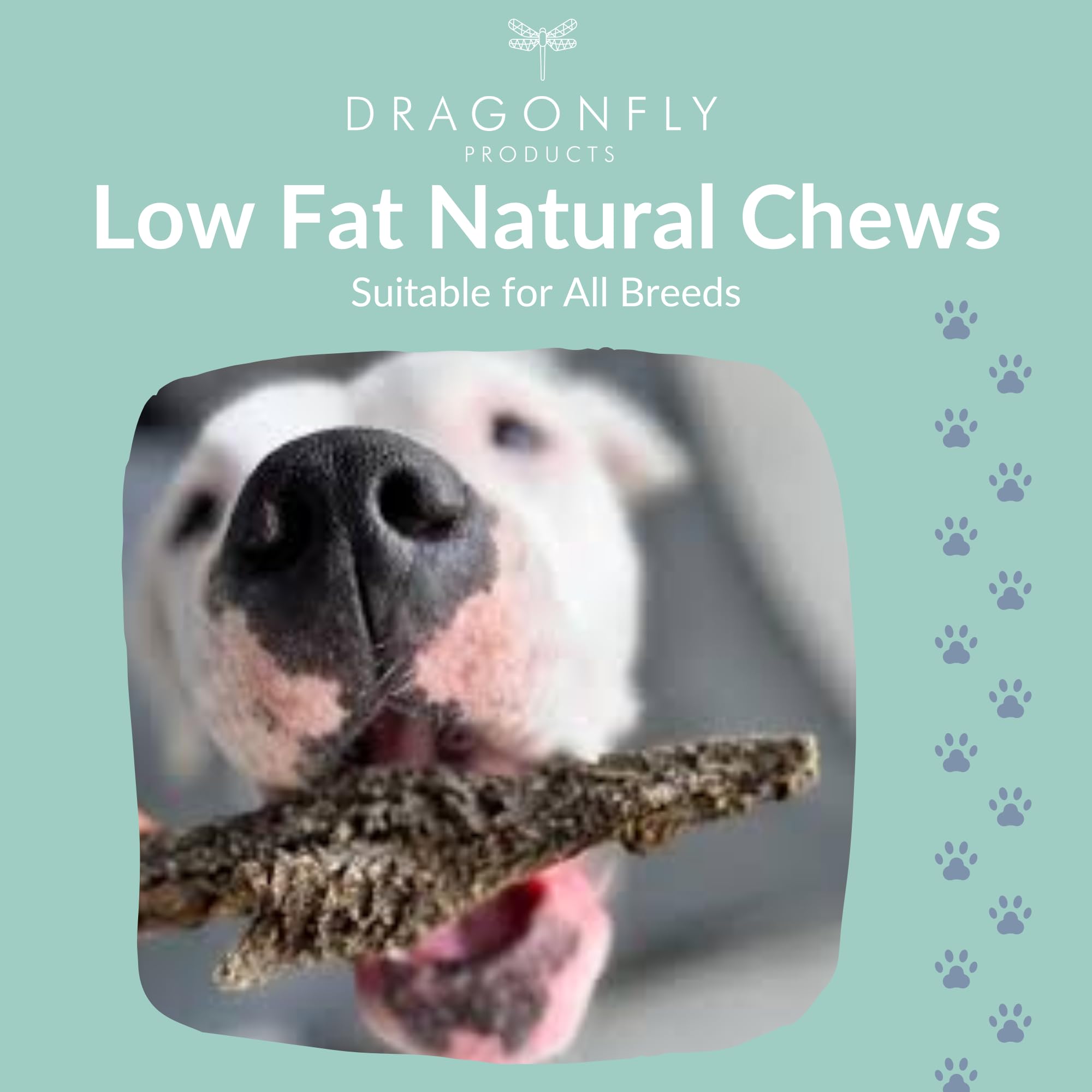 Dragonfly Products, 250 g (Pack of 1) - Image 3