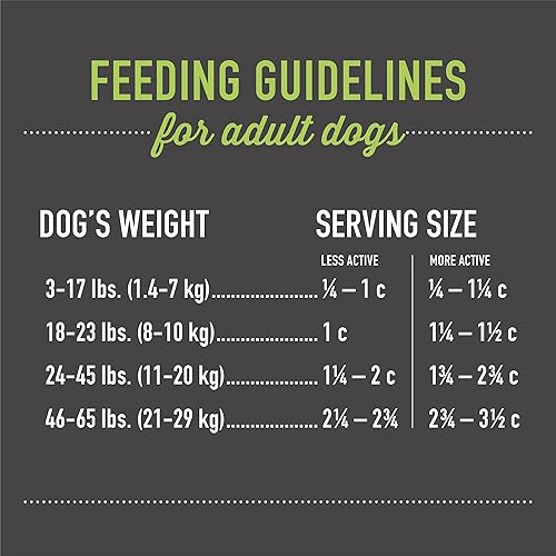 Miniatura 5 de Tiki Dog Born Carnivore para perros, receta sabrosa de cordero, guisantes y lentejas, croqueta horneada sin granos para una máxima nutrición, para