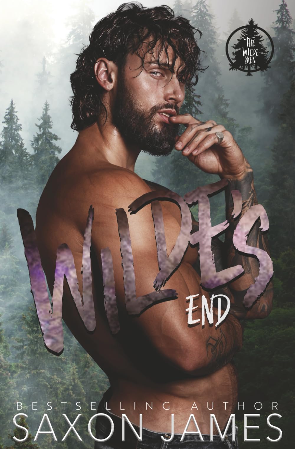 Wilde's End (The Wilde Men)
