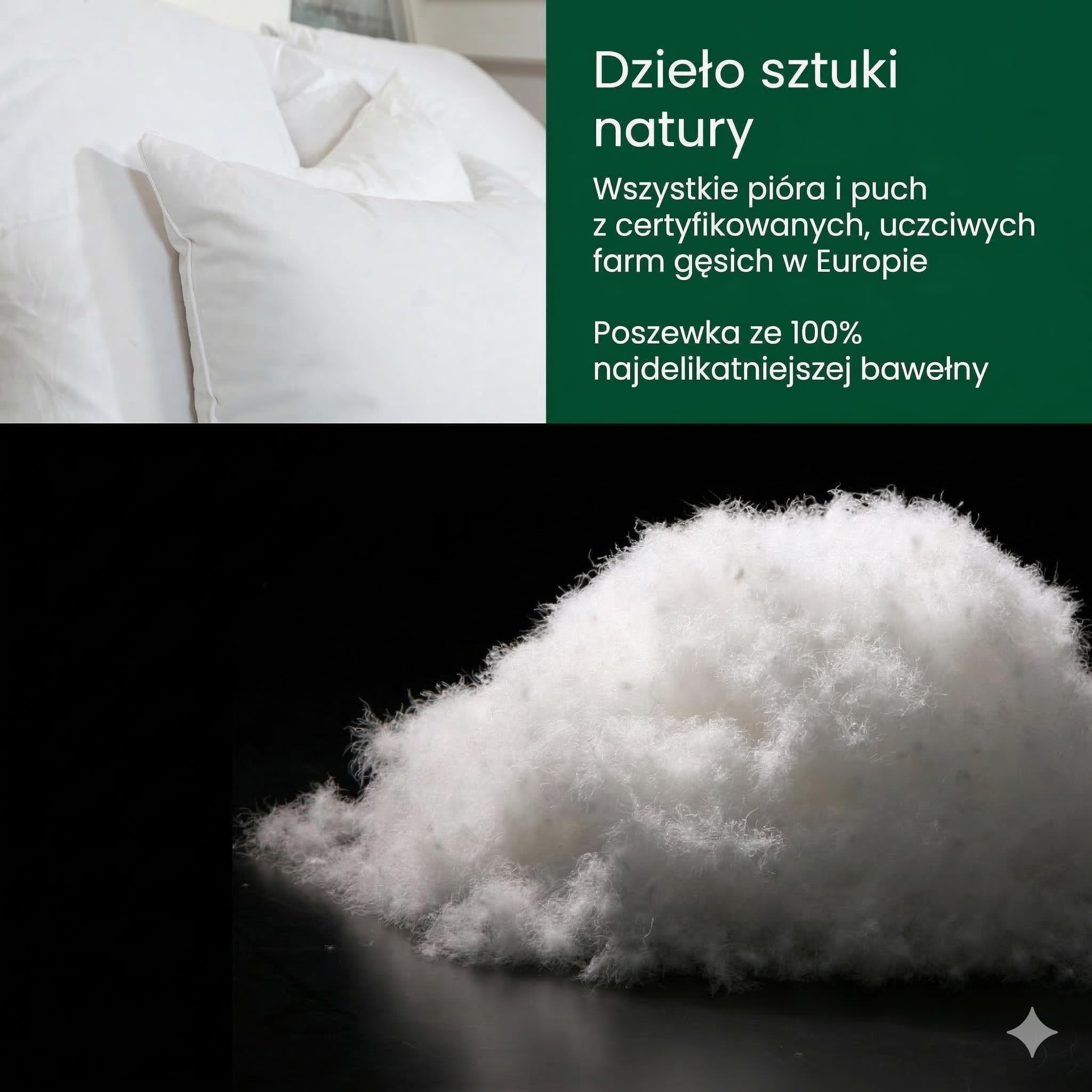 Premium de Luxe Poduszka Puchowa 60 x 70 cm - Made in Germany, 100% Bawełna, 3-Komorowa, Dla Alergików