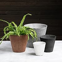 Vista 2 de Root & Vessel Maceta redonda Napa, negra, 6 pulgadas