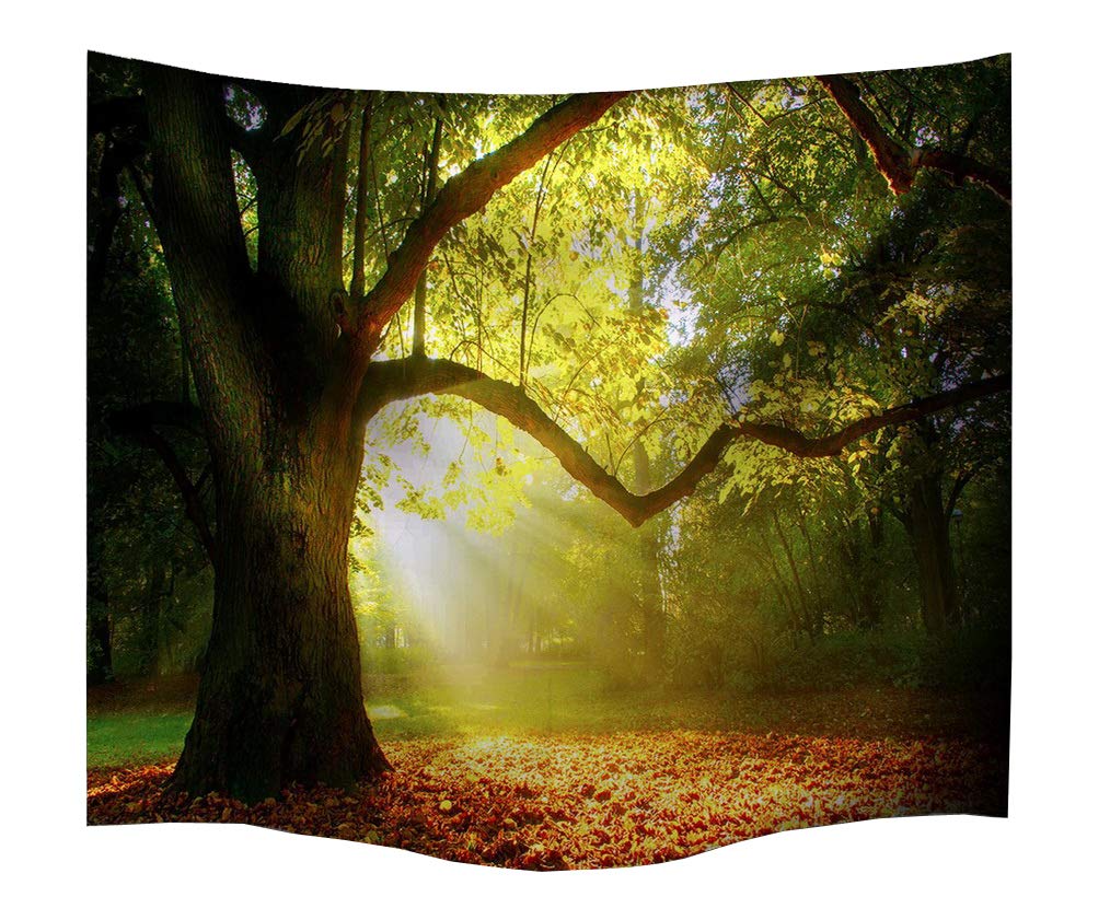 izielad Tree Sunlight Tapestry Country Decor Morning Sunrays Summertime Countryside Forest Woodland Scenic View Bedroom Living Room Dorm Wall Hanging 153x102cm 60"x40"