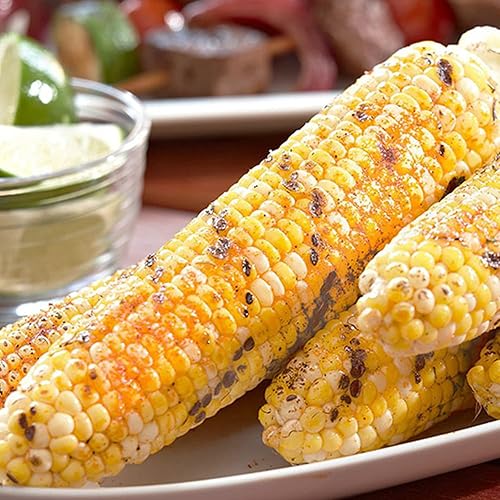 Miniatura 8 de Lawry's Sal sazonada, 8 onzas (paquete de 2)