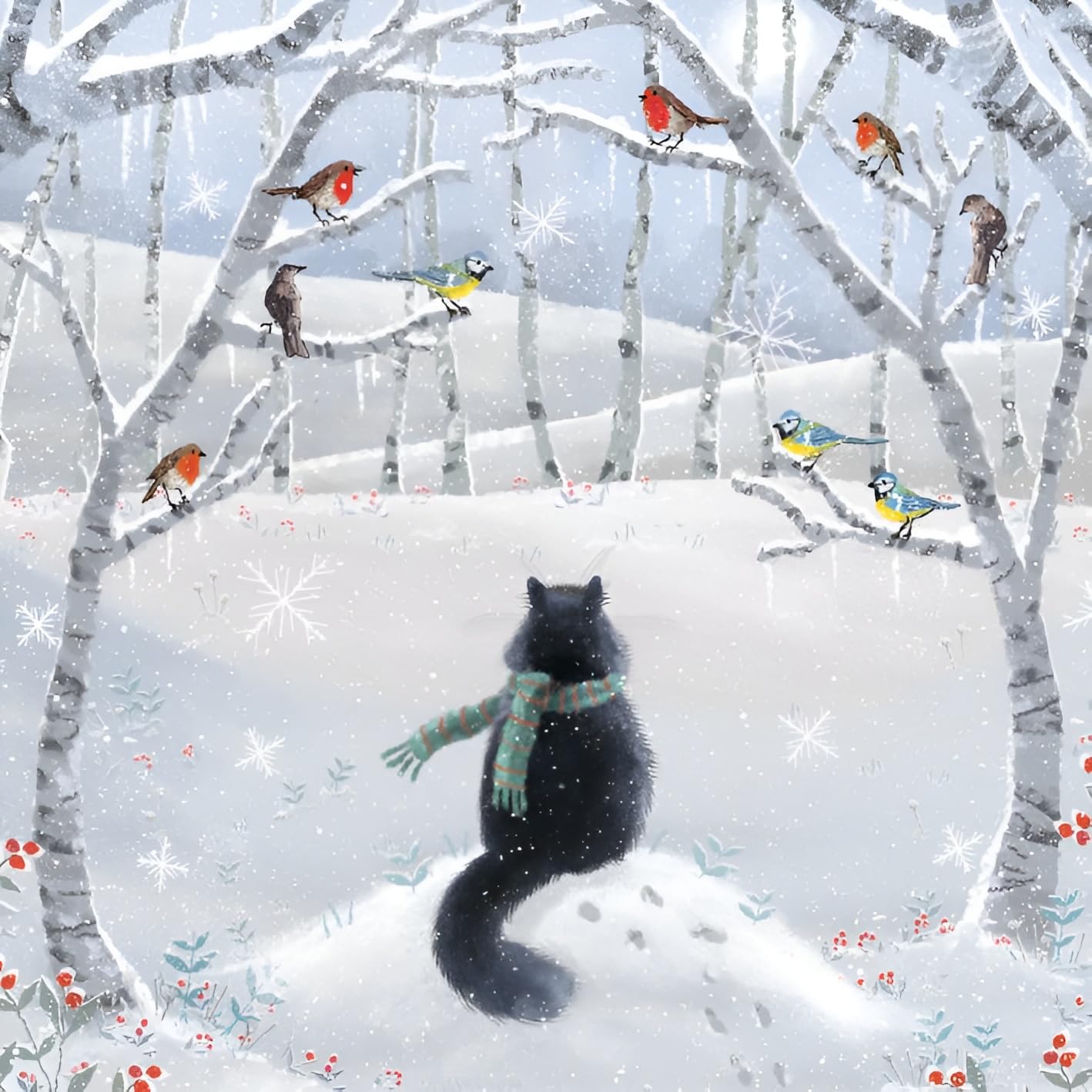 Charity Christmas Cards, Sold in Aid of Macmillan Cancer Support, Pack of 8, Garden Birds and Cat, Festive Friends