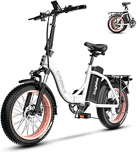1000W Folding Electric Bike,48V 20AH Removable Battery E Bike,30+MPH,80 Miles Max Range Electric Bike for Adults,20
