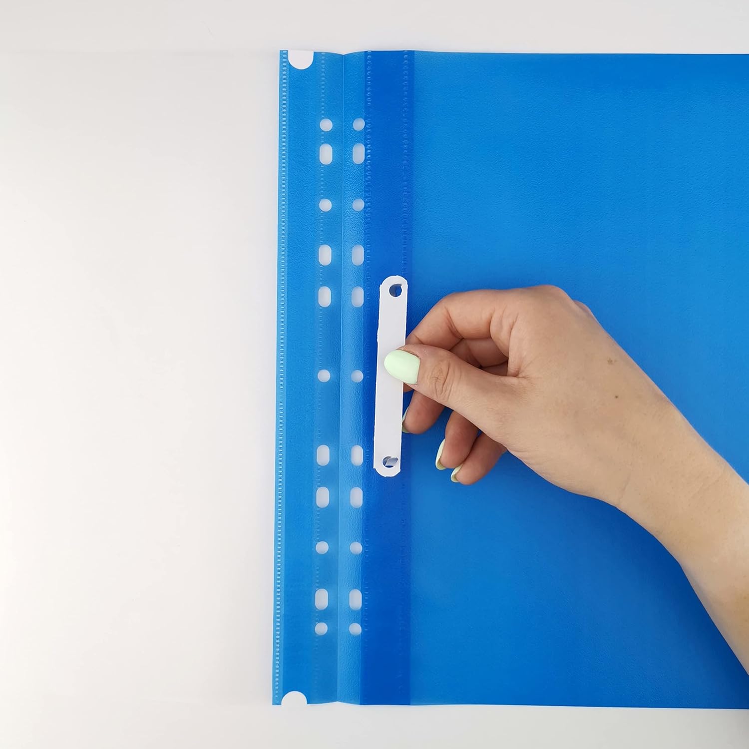 D.RECT Pack of 25 A4 File folders with Perforation Made of Plastic with Transparent Front Cover, Plastic File Folder Made of PP Film, Perforated, Euro Perforation, Blue