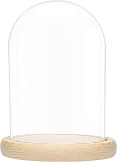 BELLE VOUS Glass Bell with Wooden Base - 20 cm High Glass Dome with Wooden Base - Glass Bell Large Decoration - Transparent Glass Bell - Glass Dome Decoration - Decorative Glass Hood