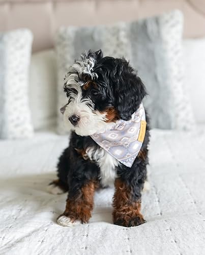 Miniatura 5 de Willow Creek Pet Apparel Pañuelo para perros y cachorros  Paquete de 4 Azteca  Tela duradera de doble capa  Lindo y moderno  Todas las razas  Niños