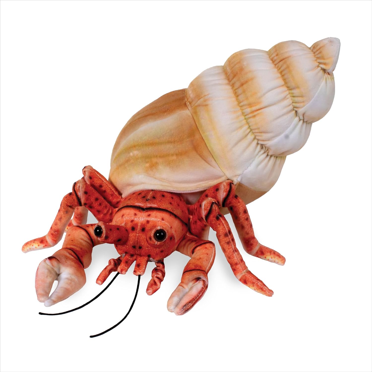 Real Planet 14" Hermit Crab Stuffed Animal - Hermit Crab Plush Toy Animal, Soft & Squishy Toy Stuffed Animal, Ocean Sea Animal Plushie, Stuffed Zoo Animals