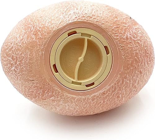 Miniatura 7 de Gemini&Genius Triceratops - Juguetes de dinosaurio, huevo de dinosaurio para niños, figura de acción de dinosaurio, caja de dinero, regalo de Pascua