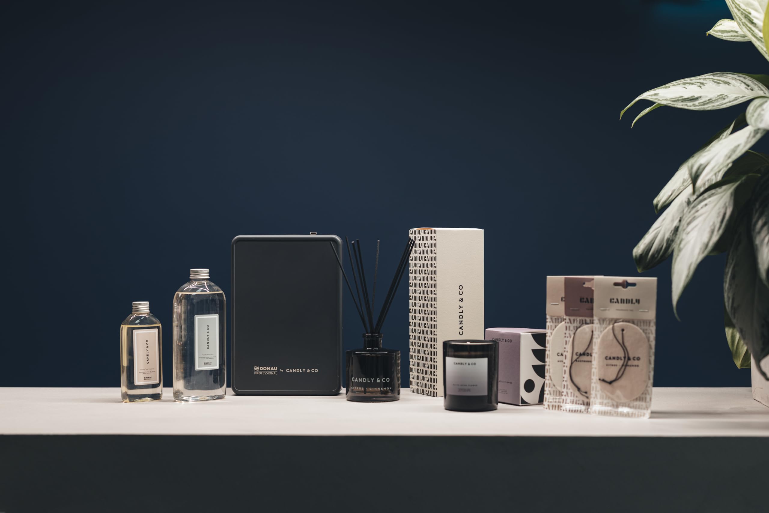 by CANDLY&CO Recambio para difusor eléctrico/Ambientador Hogar/200 ml/Fresh Mood Pro/Automático/Esencia para casa/Aromaterapia