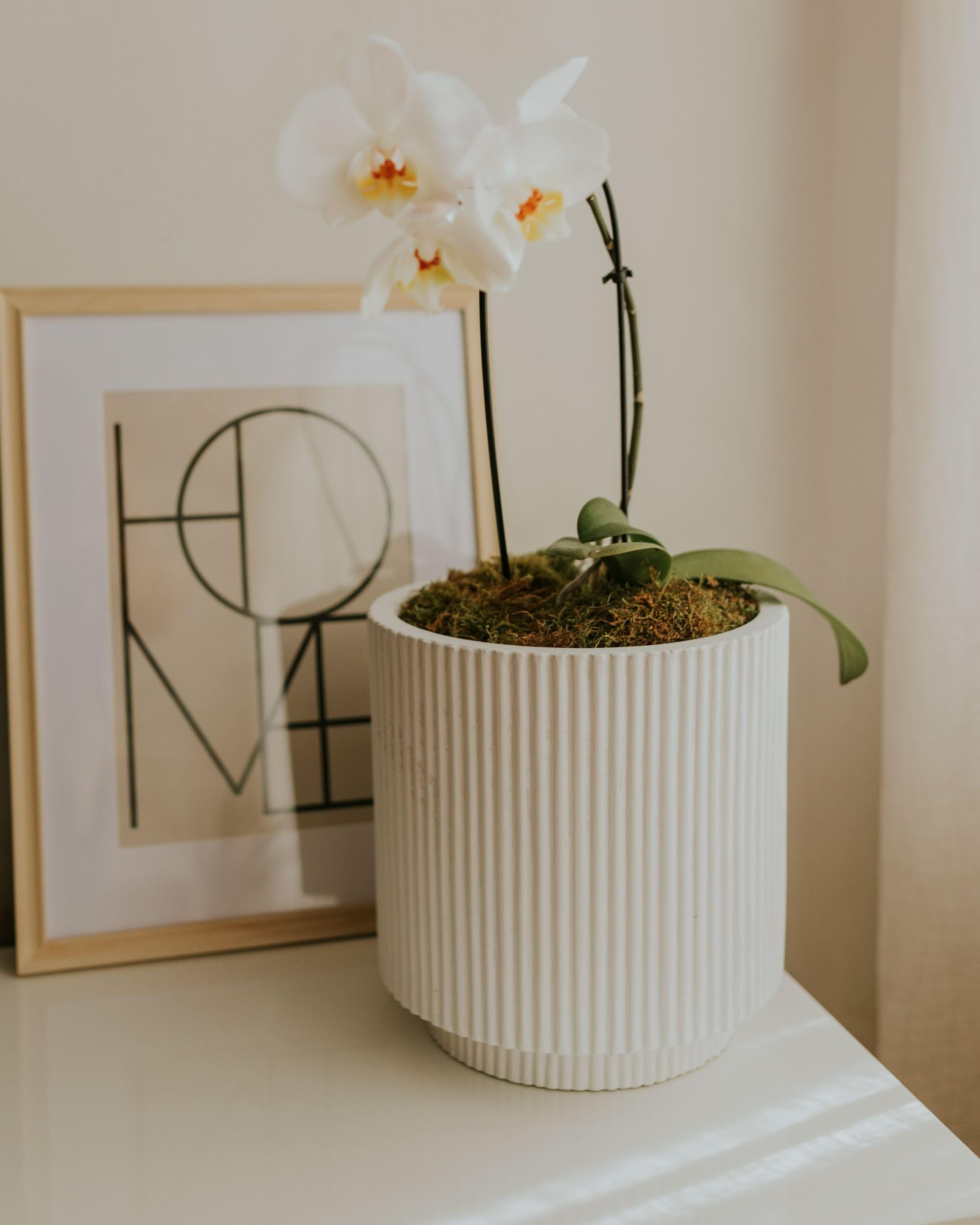 Blumentopf Ton und Glasfaser weiß rund ⌀ 30 cm mit Rillen modern Daria