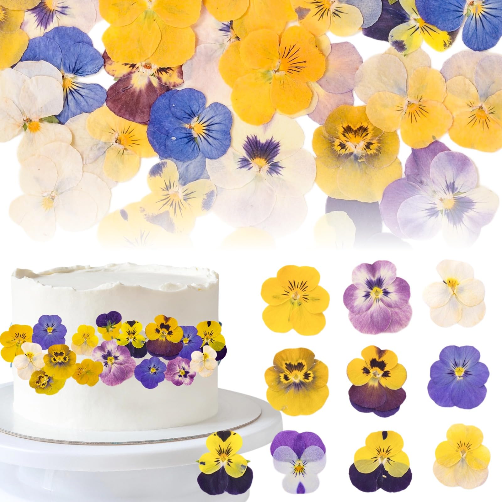 Fangkic 100 Pcs 10 Kinds Natural Dried Pressed Edible - dried and preserved flora | Mubboo