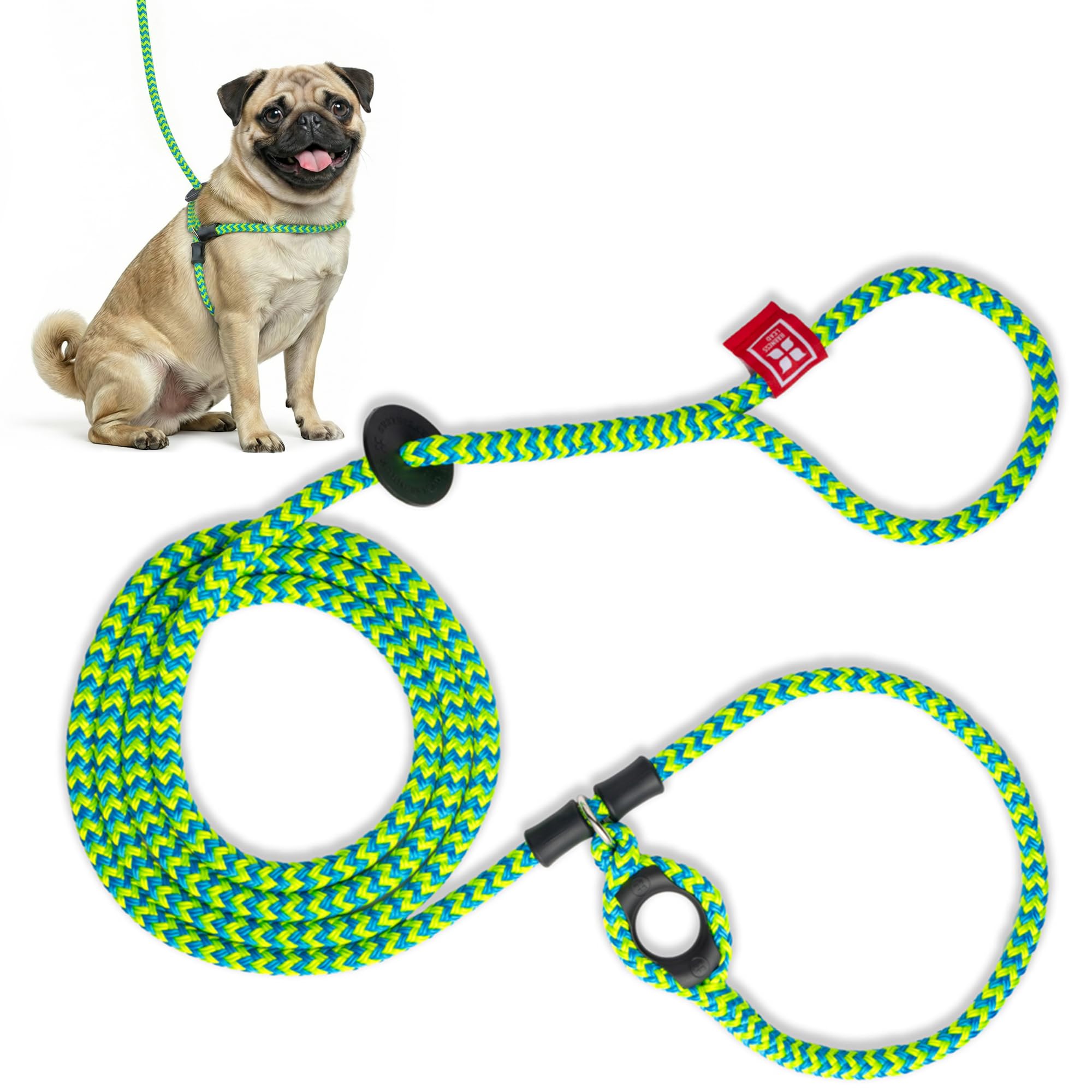 Harness Dog and Leash Set, Anti Pull, One-Piece Cushioned Rope, Safely Prevents Escaping and Pulling, New Insert is Removable, Small/Medium, Peacock (Blue/Lime)