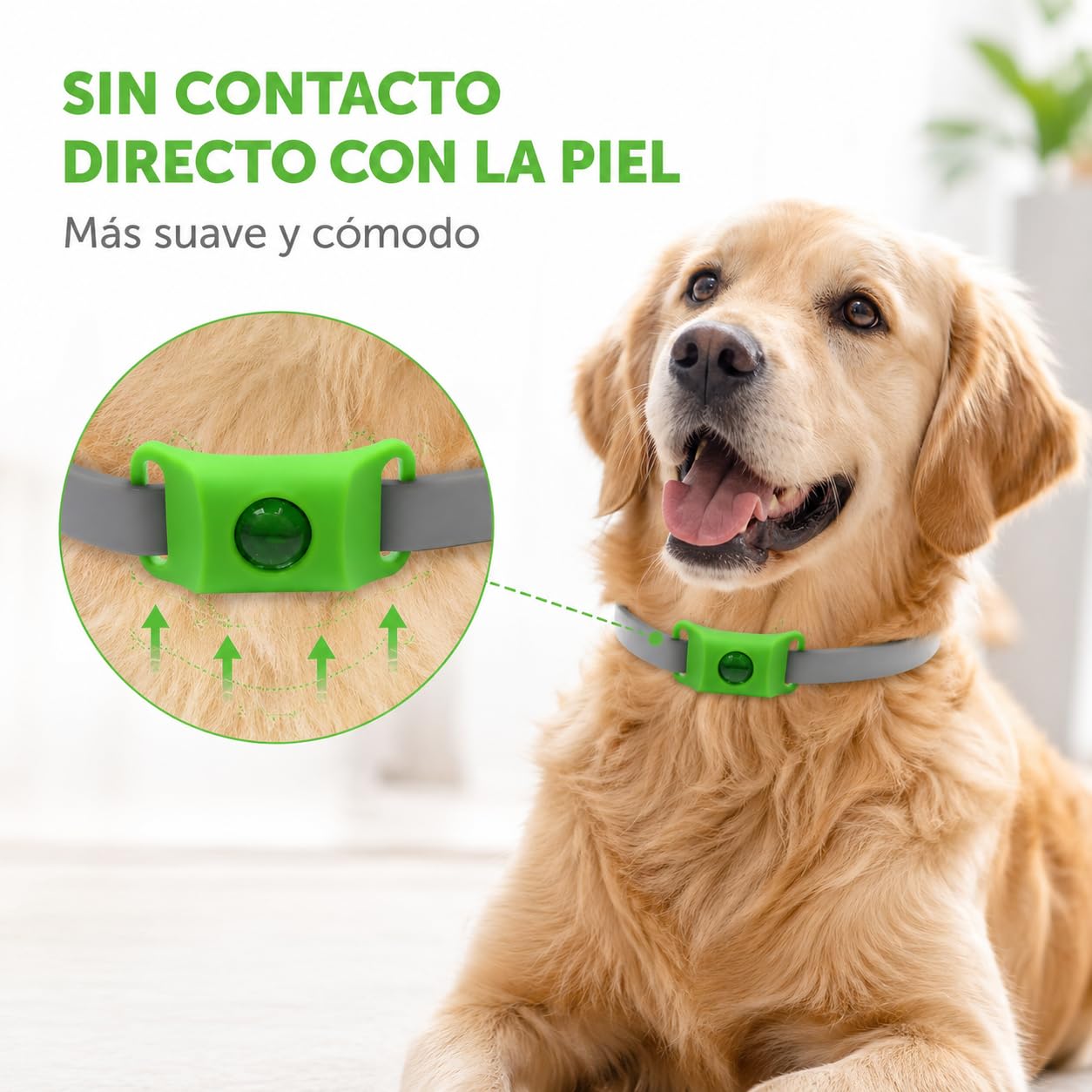 Aquality Collar Antiparasitario Gatos Perros con Cápsulas Reemplazables Difusor Natural Ajustable Resistente Al Agua para Paseos Exterior (Rojo)