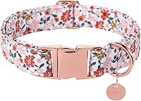 Vista 35 de Collar de perro de algodón de dinosaurio con hebilla de metal, collar de regalo para niñas o niños pequeños, medianos y grandes, lindos collares