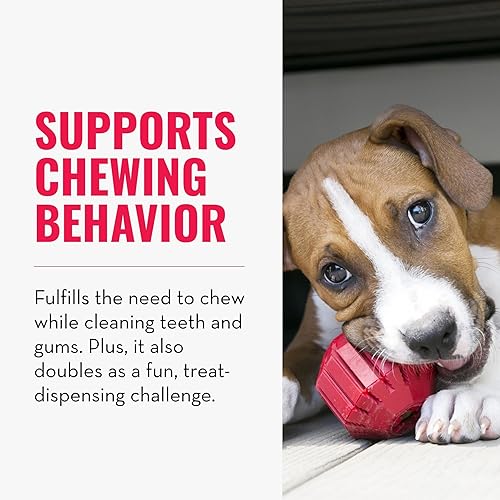 Miniatura 9 de Juguete para perros Stuff-A-Ball de Kong, M, Rojo