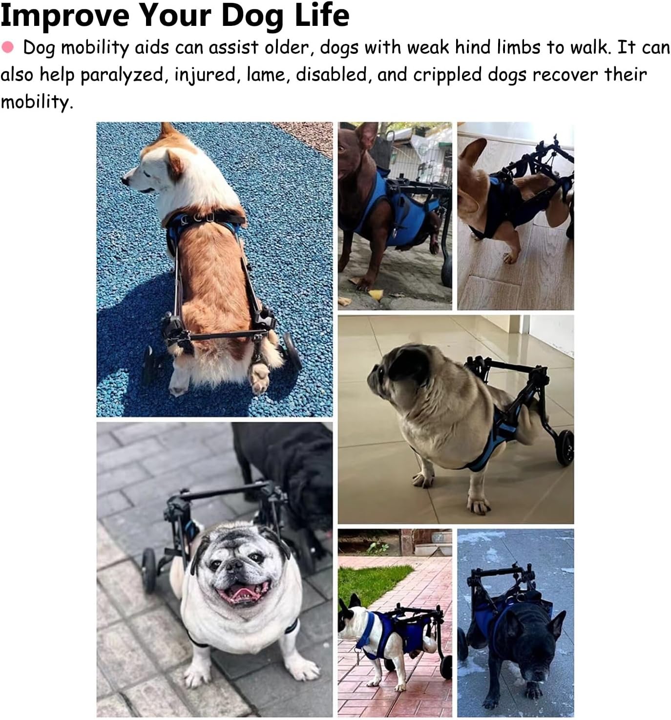 Dog Wheelchair Little Dog Bike Trailer for Rear Hind Limb, Disabled 2-Wheel Small Dog Carts, Adjustable Dog Cart/Wheel Chair Harness, for Chihuahua Corgi(Size S)