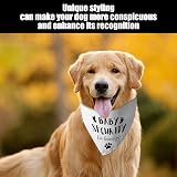 Ver la foto 5