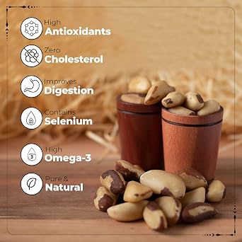 Happilo Premium International Exotic Brazil Nuts 150G Amazon/Brazilian Nut Without Shell, Healthy Crunchy Protein Snack, 150 G (Pack Of 1) 150 G (Pack Of 1) Brazil Nuts