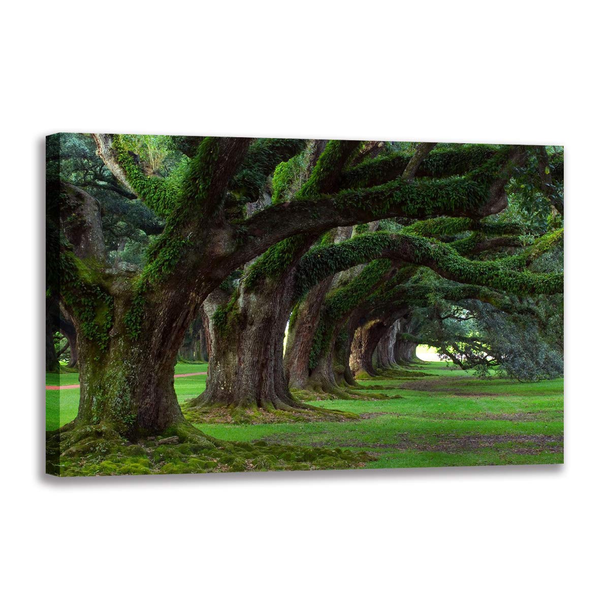 Toile Grand Arbre de 100x160 cm pour instaurer une ambiance zen et chaleureuse au salon