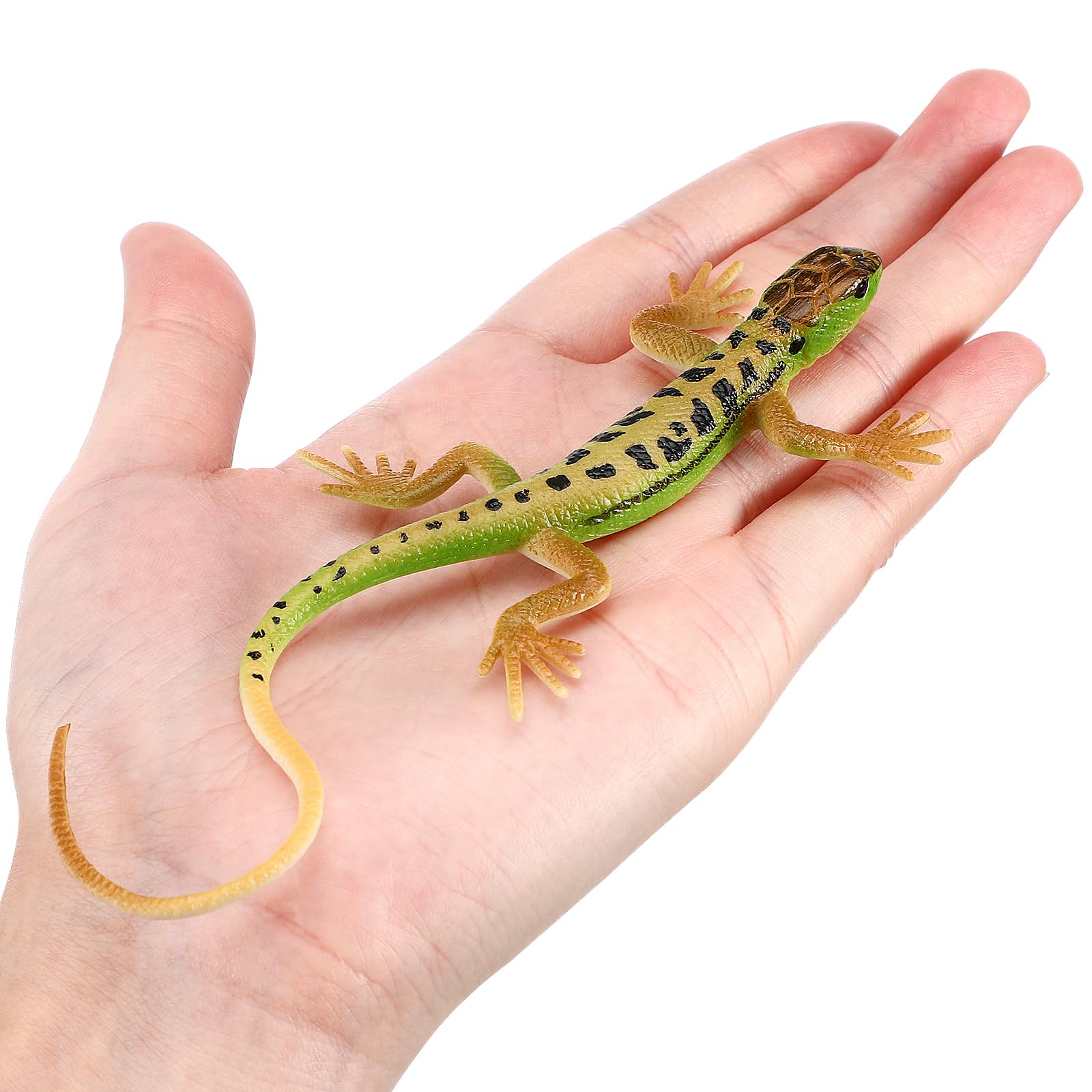 Toyvian Plastic Lizard Toy Figurine, Realistic Green Lizard Reptile Animal Model Collection, Fake Animal Prop Pranks for Halloween, Party Trick for Kids - Image 4