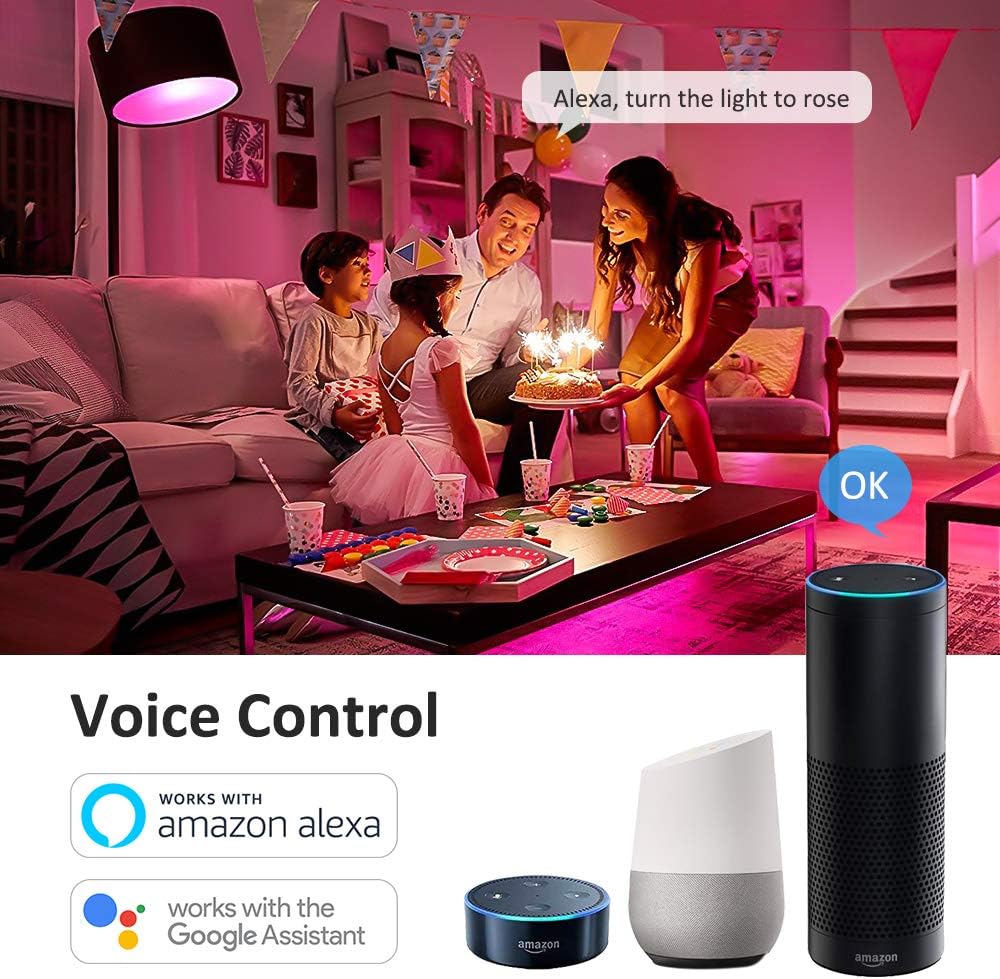 Voice control setup with Amazon Alexa and Google Assistant devices.