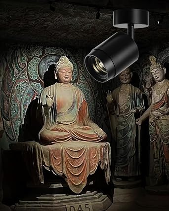 LED Track Lighting 9w LED Zoomable Black Ceiling Spotlight, 3-Wire Track Adjustable Beam Angle 9-60 for Museum Corridor Mural Business Space 3000K