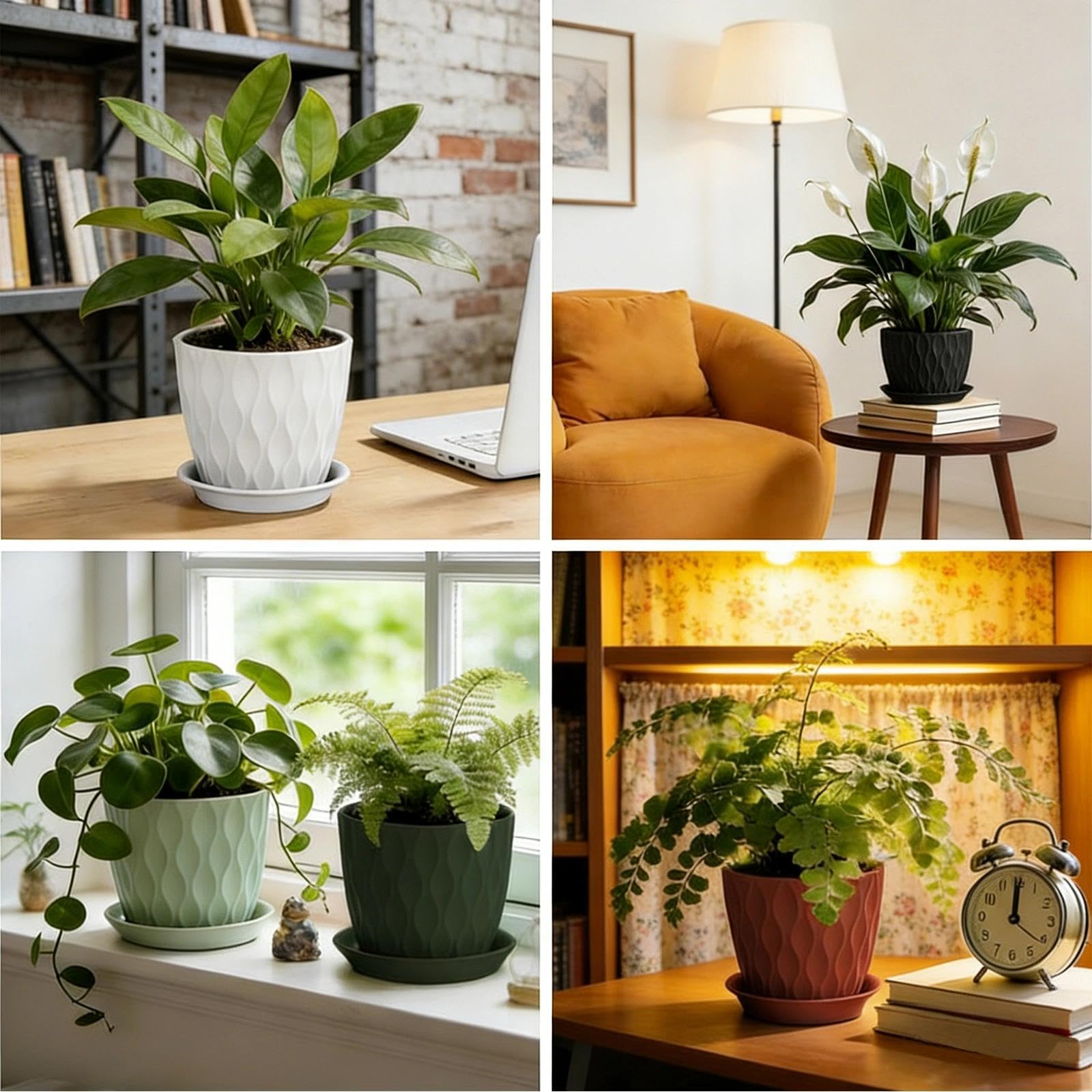 Omtofo Maceteros Decorativos Interior, Set de 6 Maceta Plástico con Apertura Base 10cm, con Agujero Drenaje, Macetas Pequeñas en PP para la Cocina, balcón, Plantas de jardín, Macetas Vivero — view 8