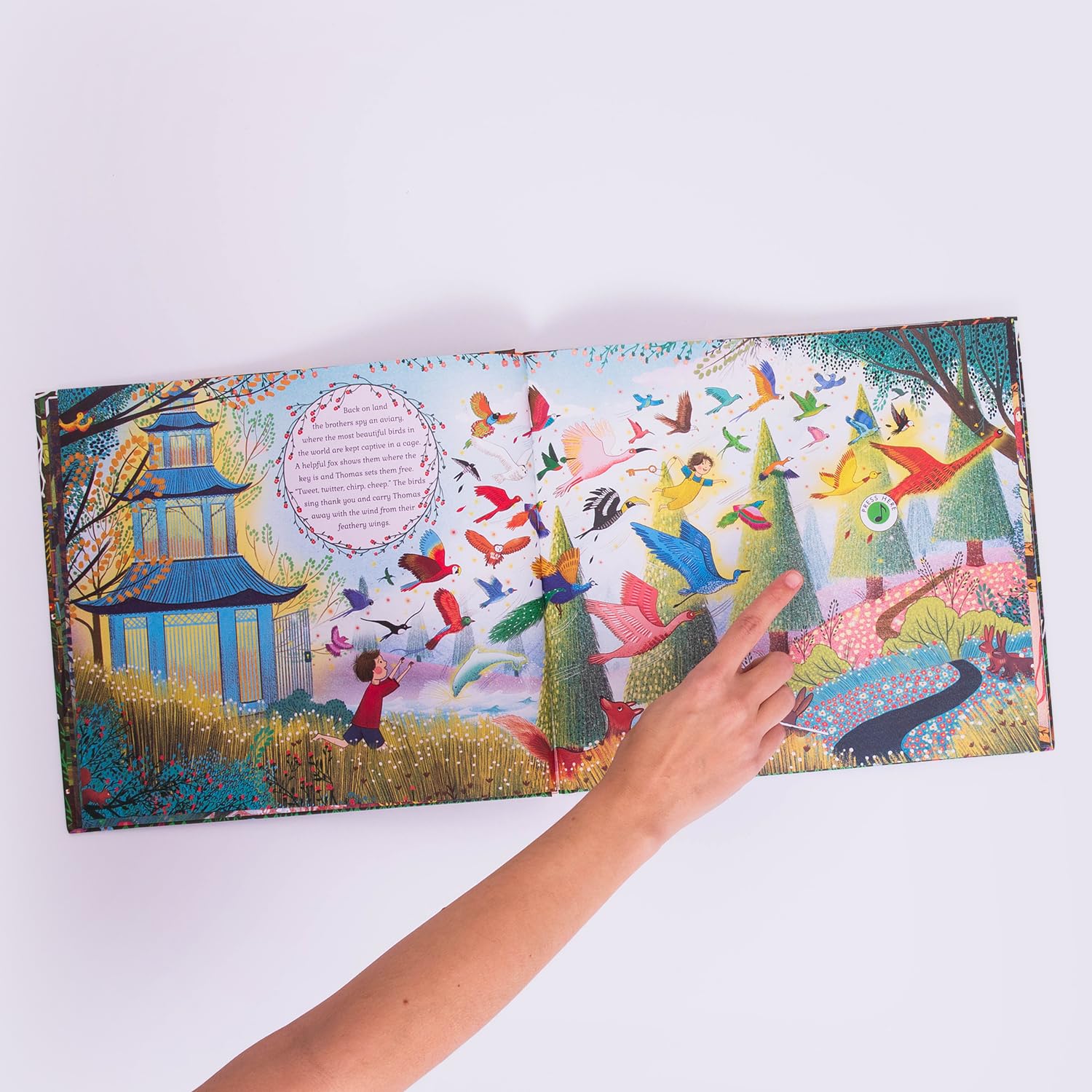The Story Orchestra: Carnival of the Animals: Press the note to hear Saint-Saëns' music (5)