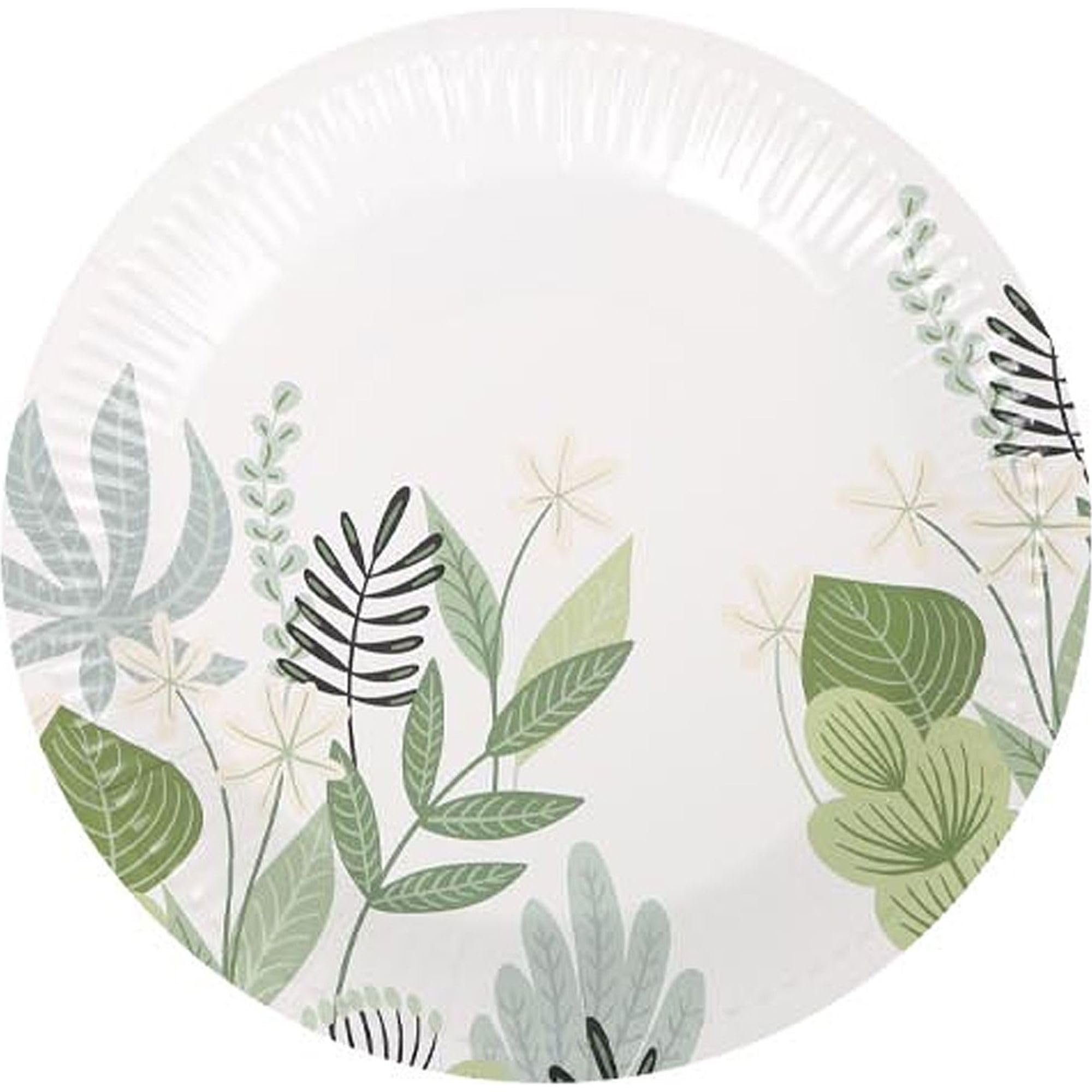 Algon Set 288 Piatti Usa E Getta 18 Cm - Ecologici, Biodegradabili E Resistenti Per Feste E Picnic - 2