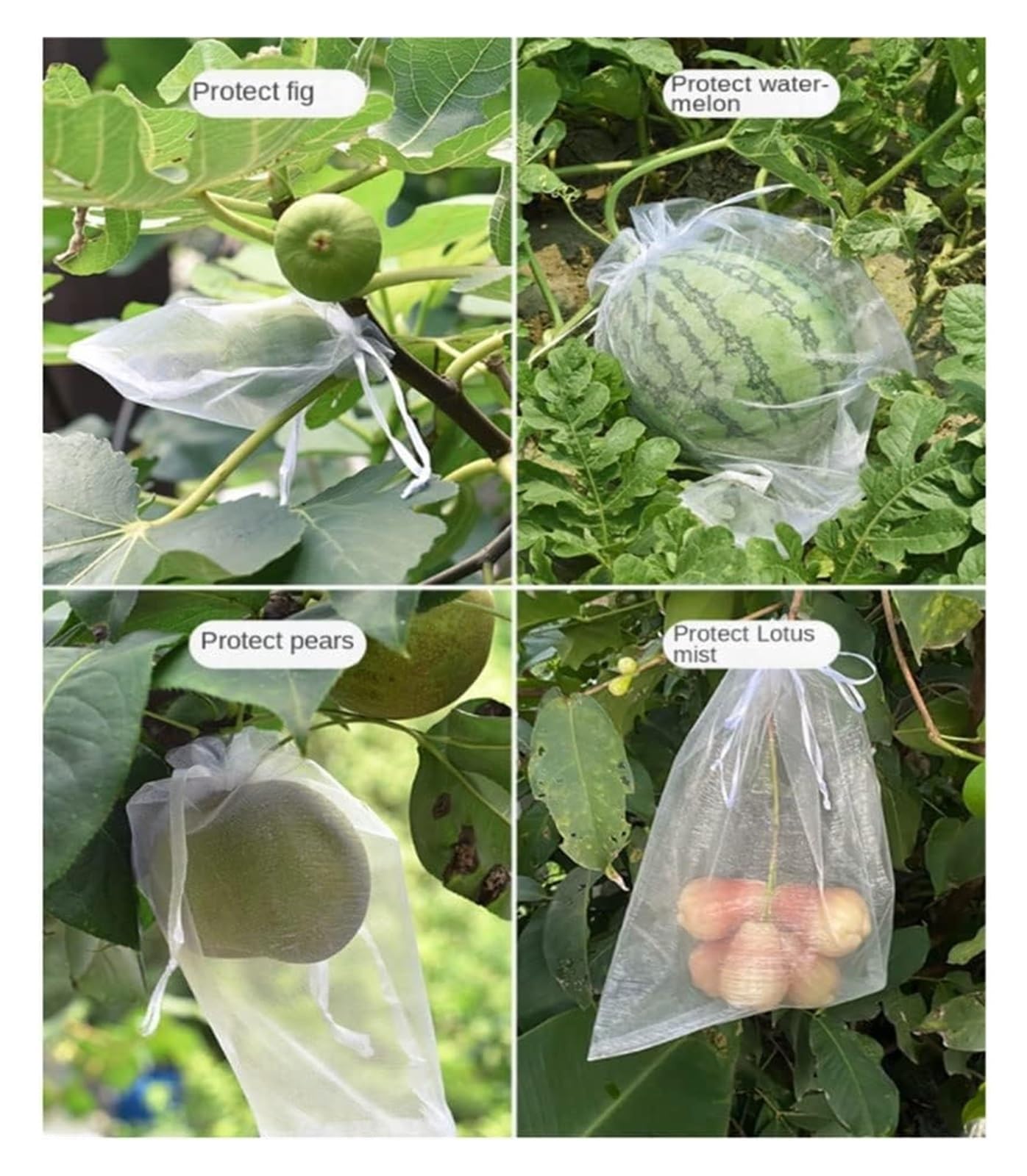 Bolsas Protectoras contra Insectos para Uvas, Bolsa de Malla a Prueba pájaros for Control plagas y Verduras, 50 Unidades, for Fresas, Uvas huertos(20x30cm)
