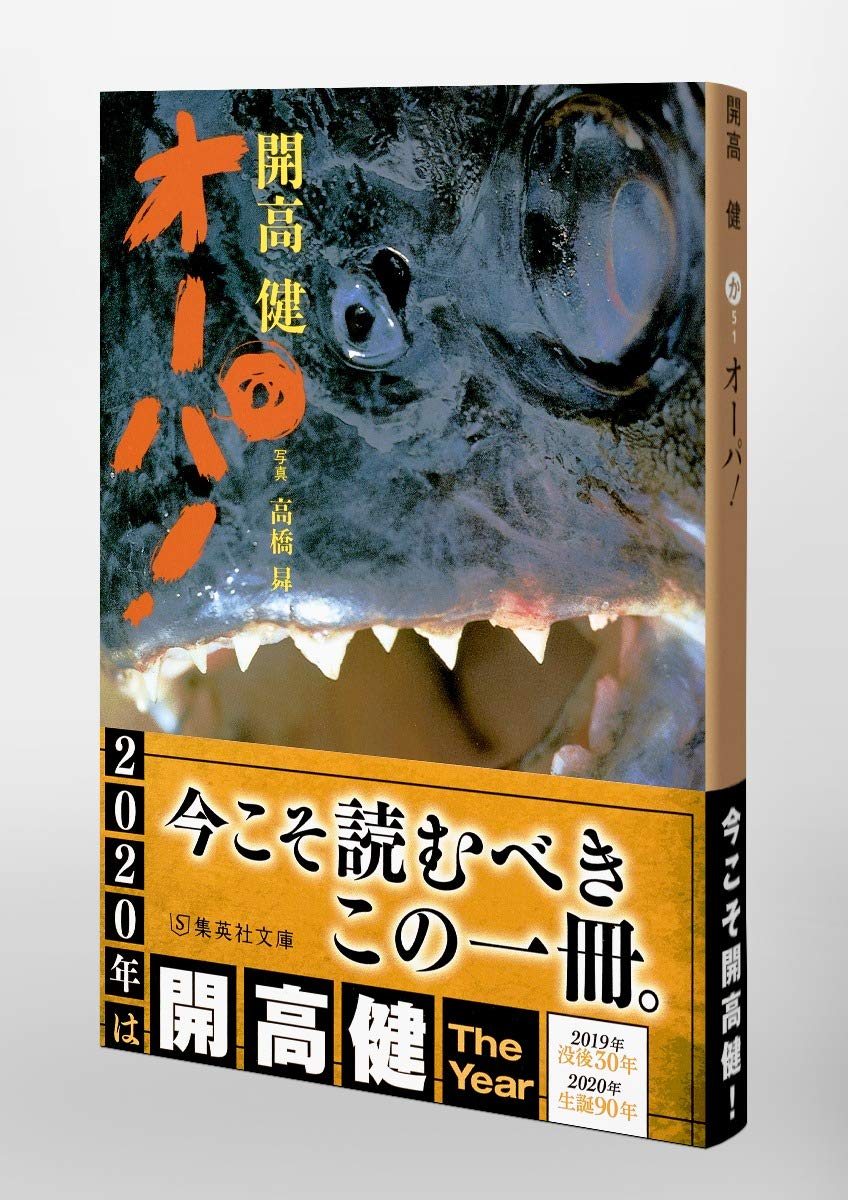 Amazon.co.jp: 開高 健: 本、バイオグラフィー、最新アップデート