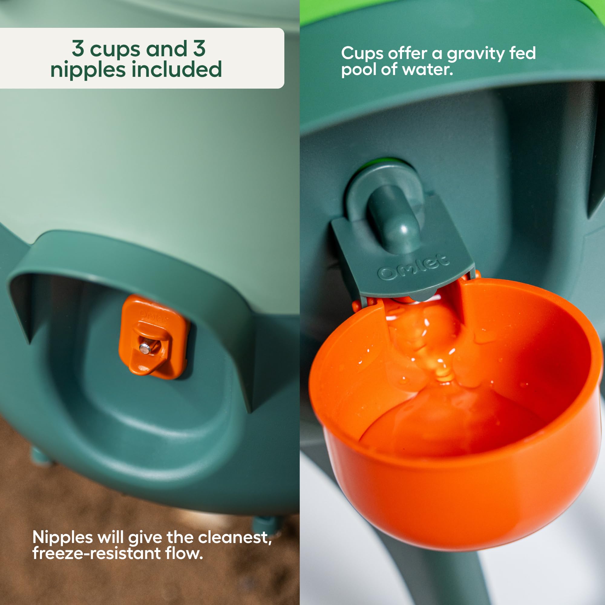 Omlet Bebedero aislado para pollos, 5,5 litros, dispensador automático de agua para pollos, sin BPA, tapa abovedada antiroost, incluye 5 tazas y tetinas, color verde salvia
