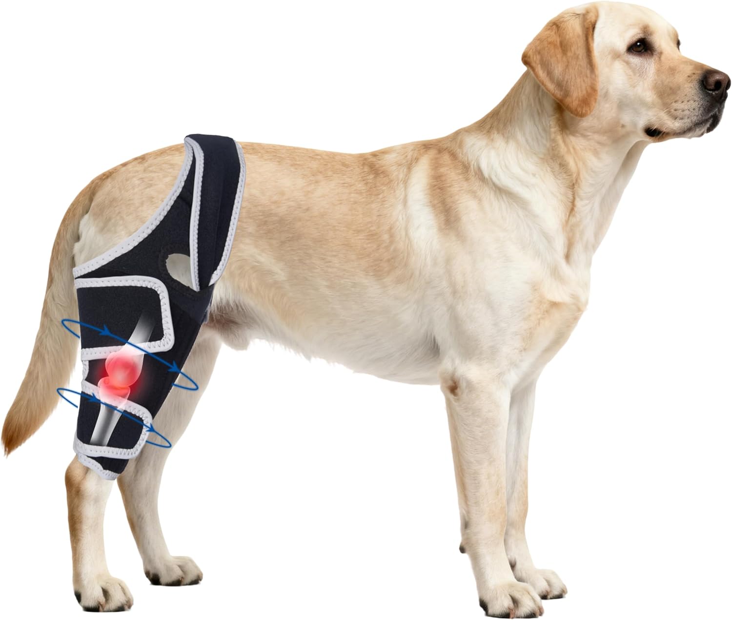 Knee Brace for Dogs All Leg, Adjustable Dog Knee Brace for Torn Acl Hind Leg -Keeps Joint Warm and Stable,Extra Support,Reduces Pain.(Size S)