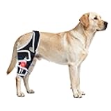 Moysoon Knee Brace for Dogs All Leg, Adjustable Dog Knee Brace for Torn Acl Hind Leg -Keeps Joint Warm and Stable,Extra Support,Reduces Pain.(Size M)