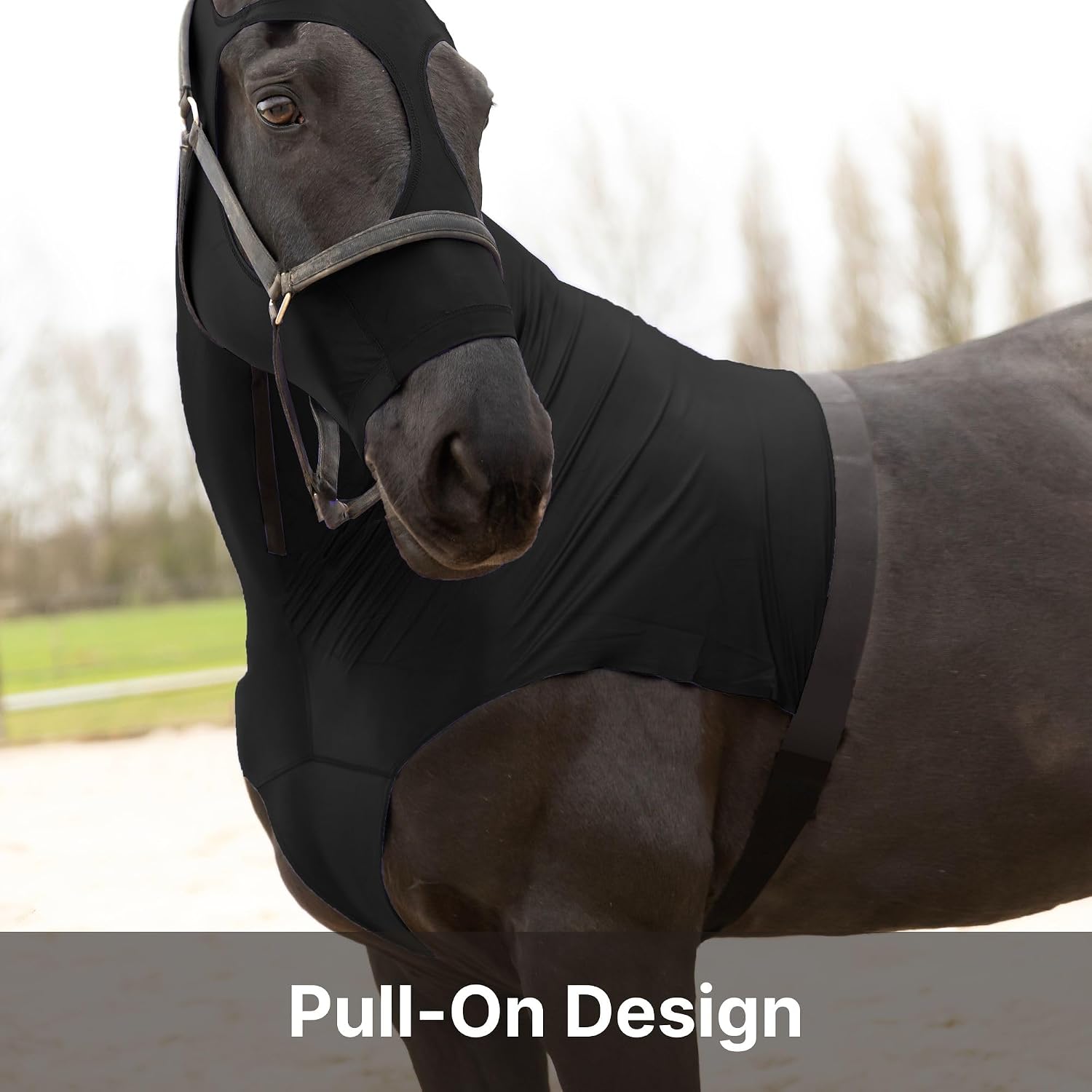 RESISTANCE Premium Horse Hood Pull-On with Face - Horse Sleazy Slickers and Horse Care Sheet