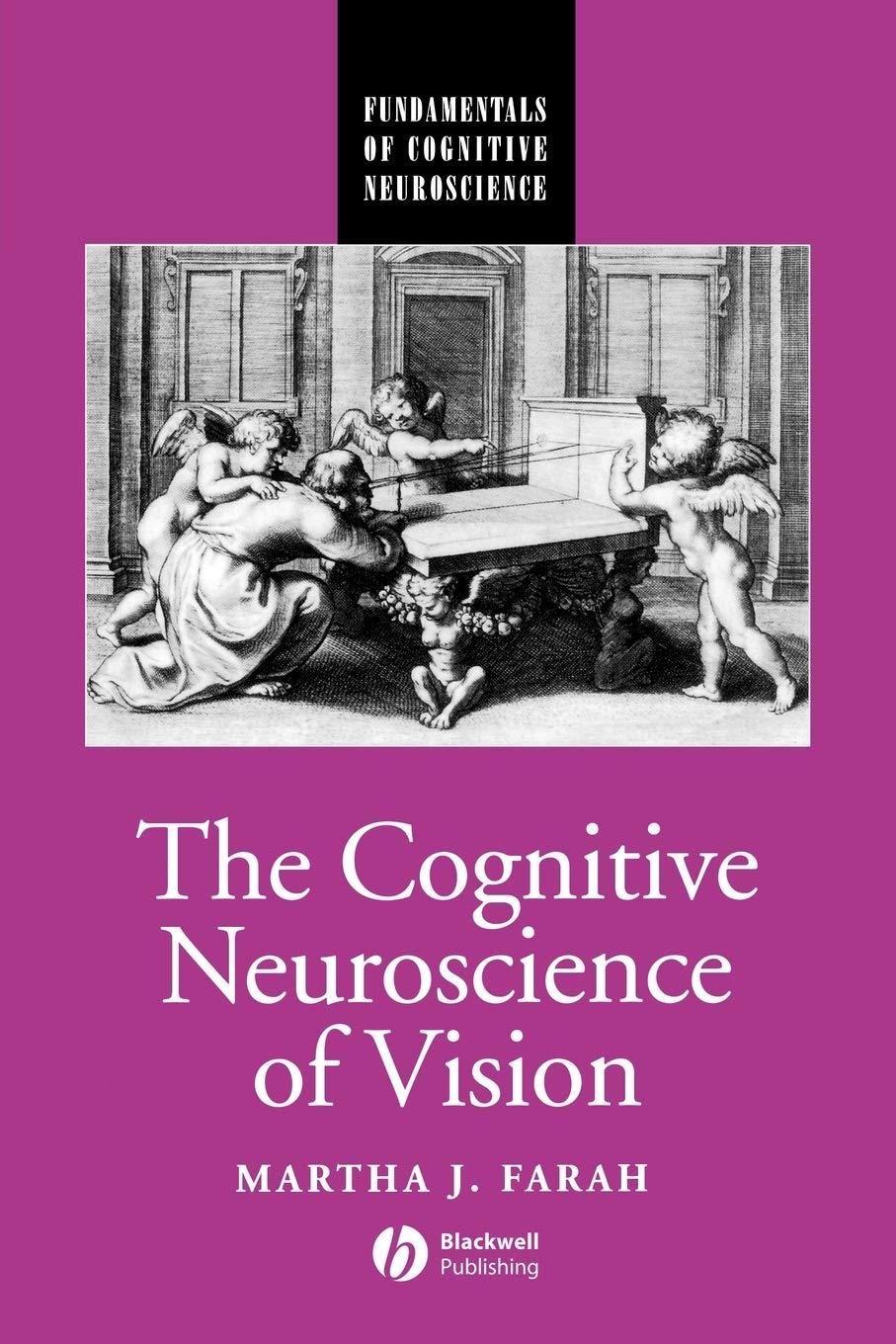Cognitive Neuroscience Vision (Fundamentals of Cognitive Neuroscience)