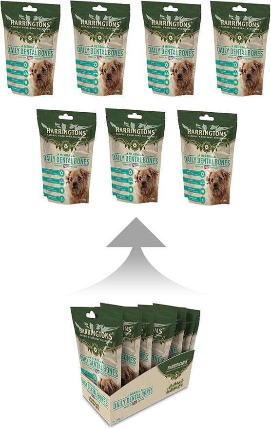 dogs digging under fence solution