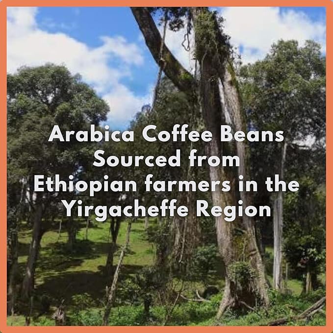 Café Grumpy Etiopía Yirgacheffe Grano Entero 340 g Tueste Medio miniatura 2